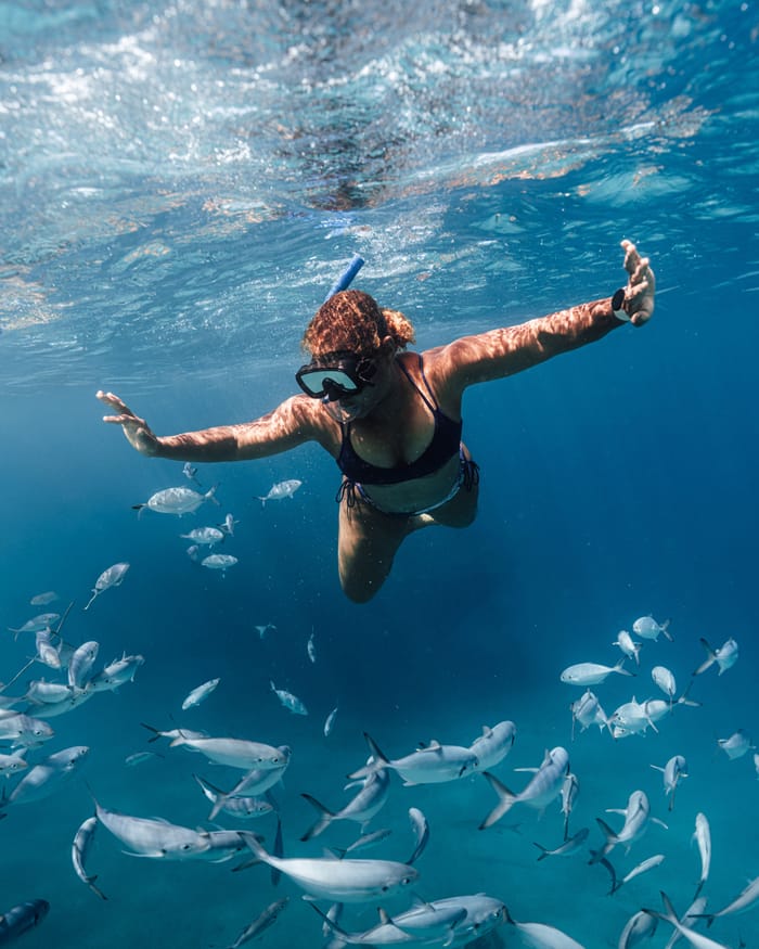 A snorkeller diving down among a school of silver fish