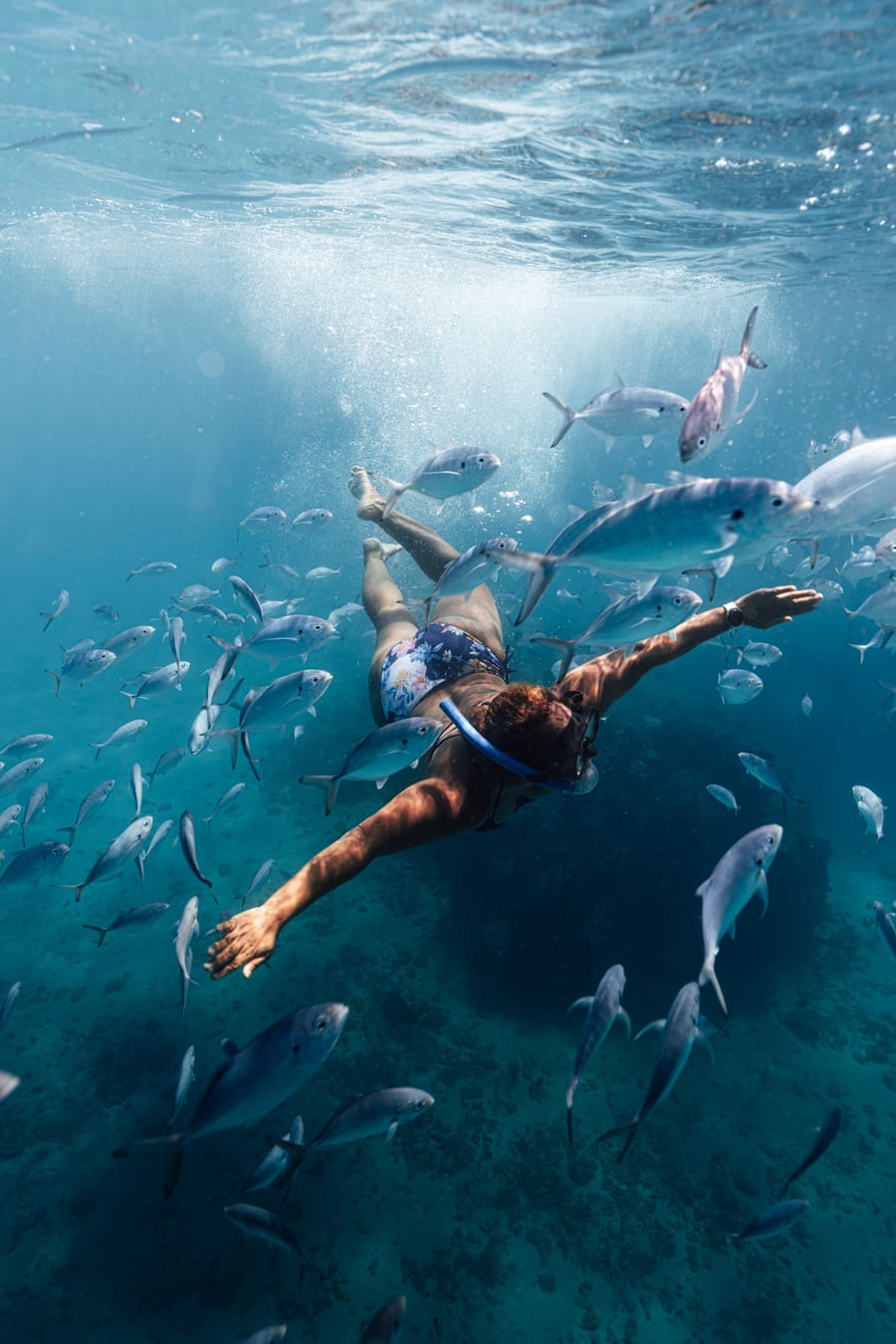 A snorkeller swimming through a school of fish