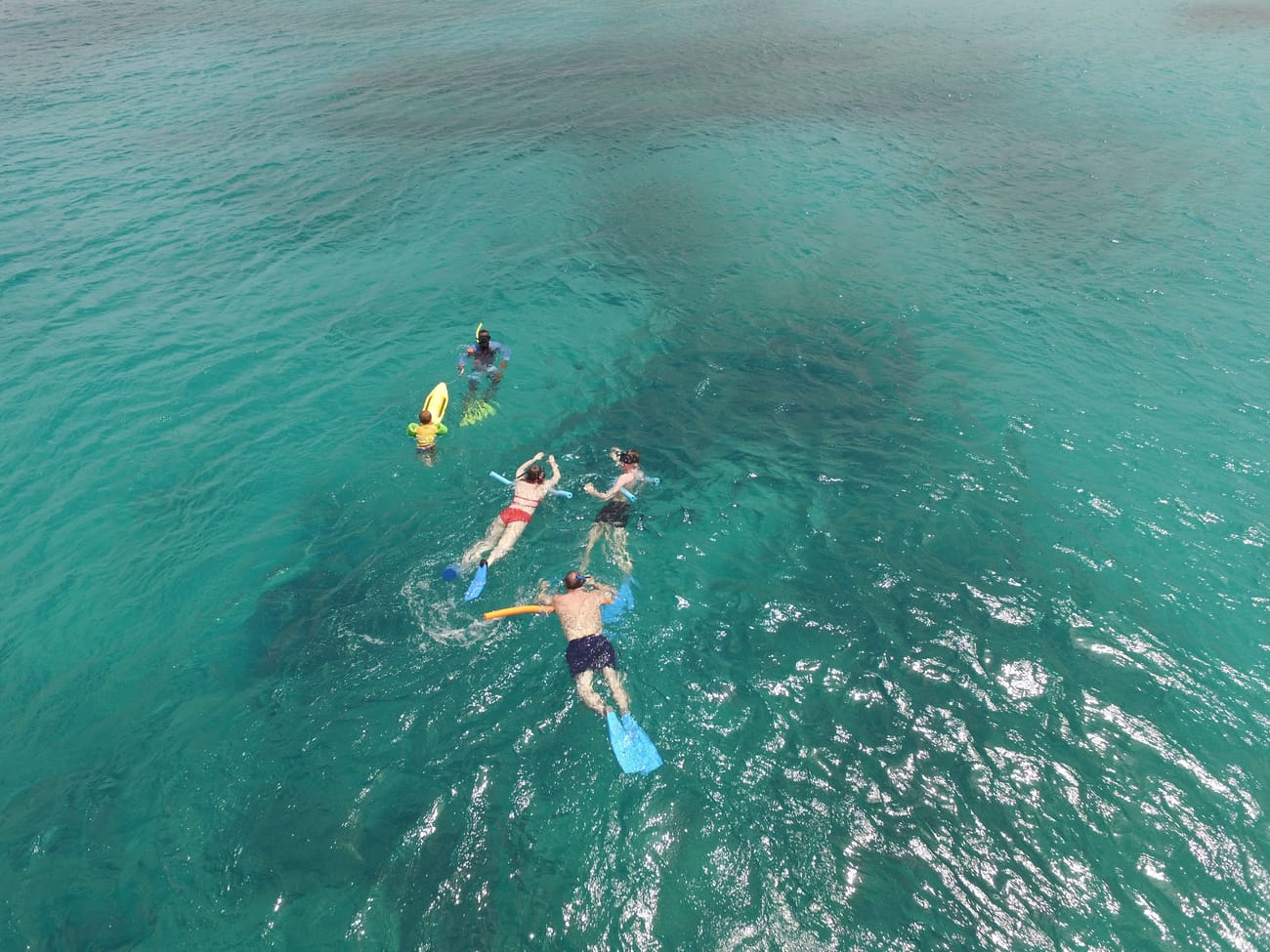 Snorkellers in fins, seen from above over a turquoise reef